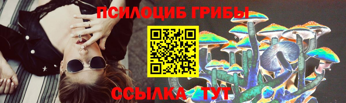 Псилоцибиновые грибы MAGIC MUSHROOMS  Вход с VPN  Кумертау 